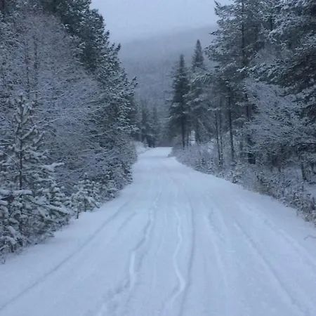 Storstua *